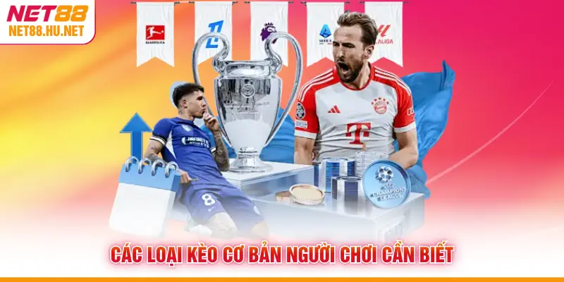 Các loại kèo cơ bản người chơi cần biết