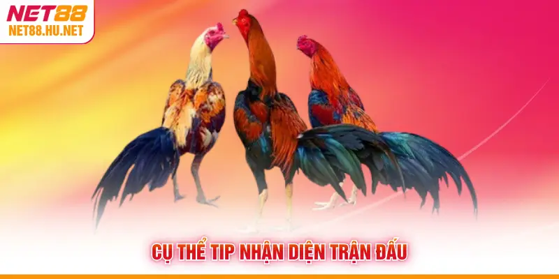 Cụ thể tip nhận diện trận đấu