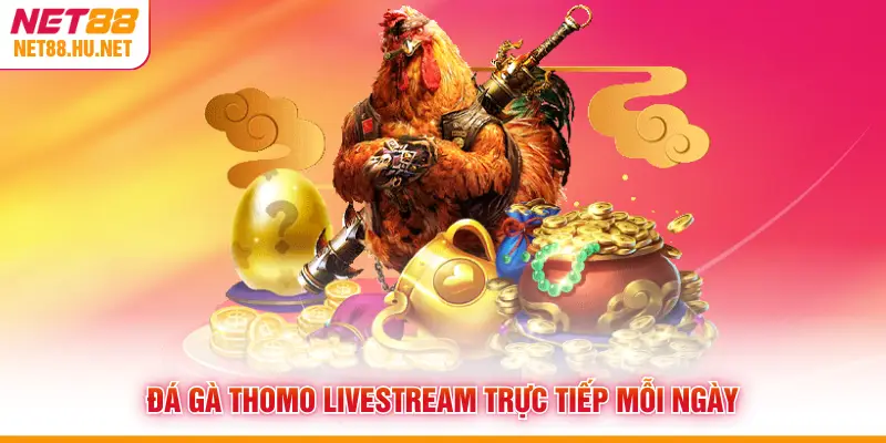 Đá gà Thomo livestream trực tiếp mỗi ngày