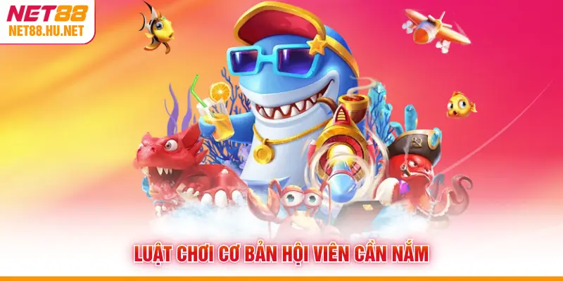 Luật chơi cơ bản hội viên cần nắm