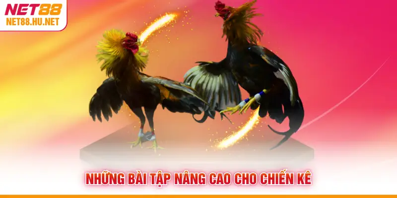 Những bài tập nâng cao cho chiến kê