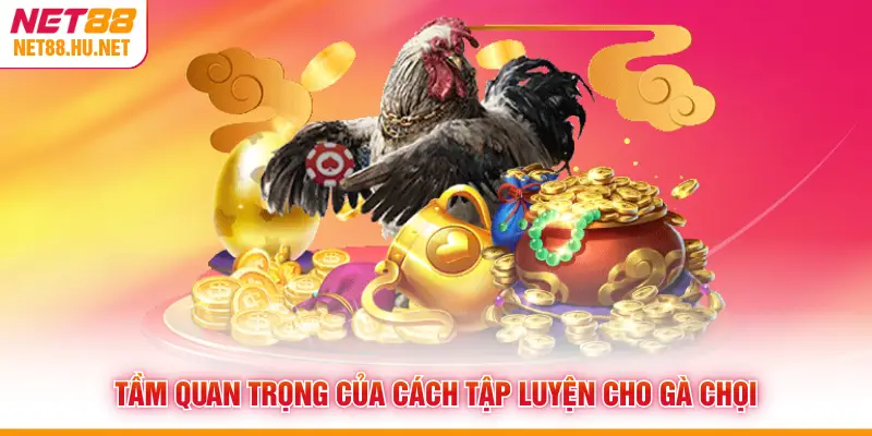 Tầm quan trọng của cách tập luyện cho gà chọi